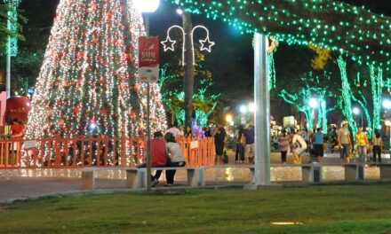 Feliz Natal e Próspero Ano Novo – Teresa Sales