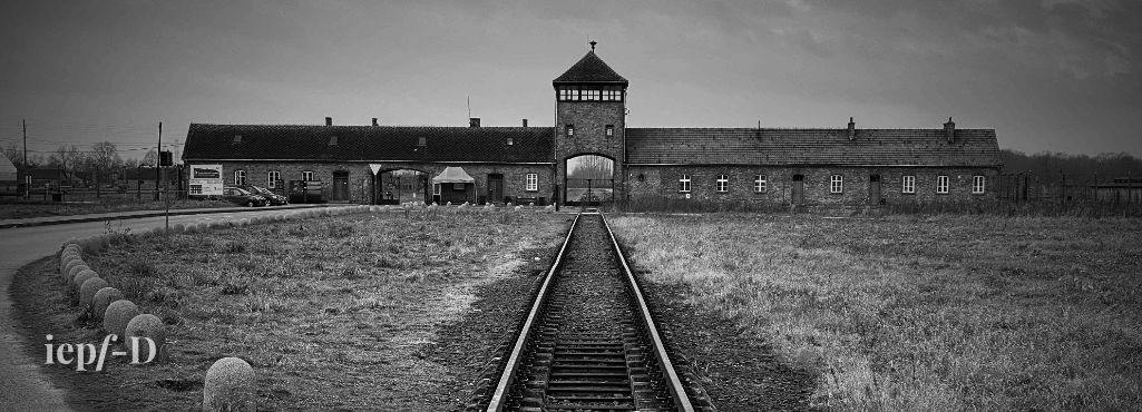 Auschwitz by Randon Winner