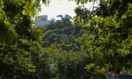 Novos Jardins para o Recife