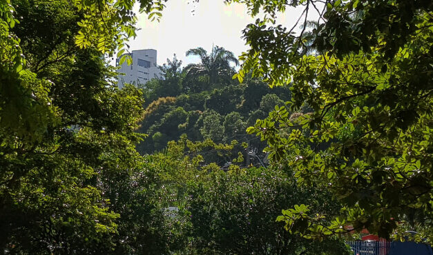 Novos Jardins para o Recife