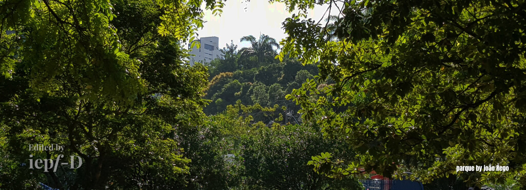 Novos Jardins para o Recife