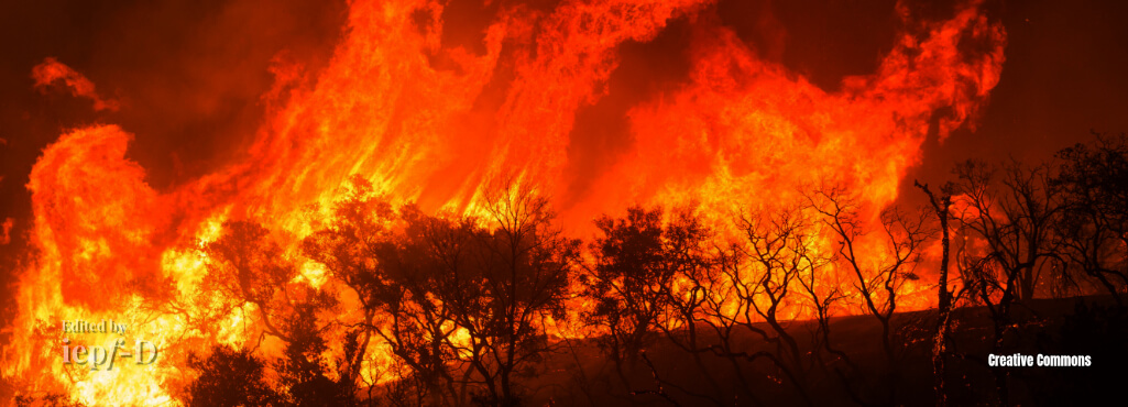 O Brasil pegando fogo