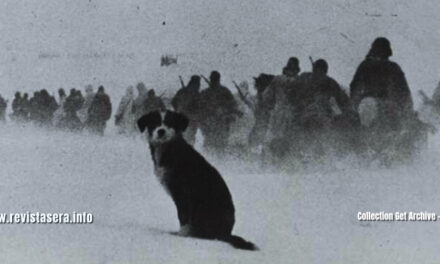 80 anos do fim do Terceiro Reich