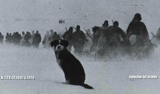 80 anos do fim do Terceiro Reich