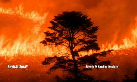 Amazônia: cactus em lugar de árvores?