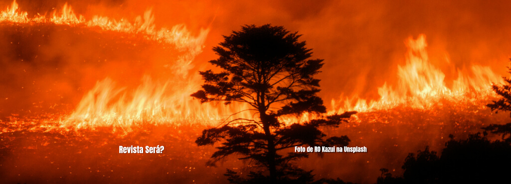 Amazônia: cactus em lugar de árvores?