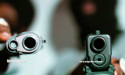 Violência e crime organizado: uma análise econômica