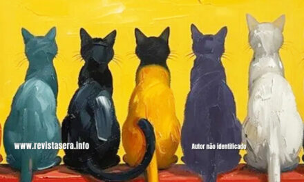 Os Gatos e o Brasil