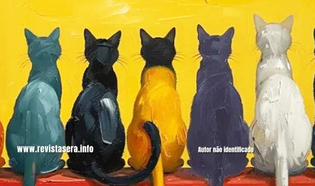 Os Gatos e o Brasil